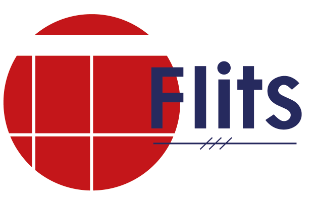 VV FLITS Logo