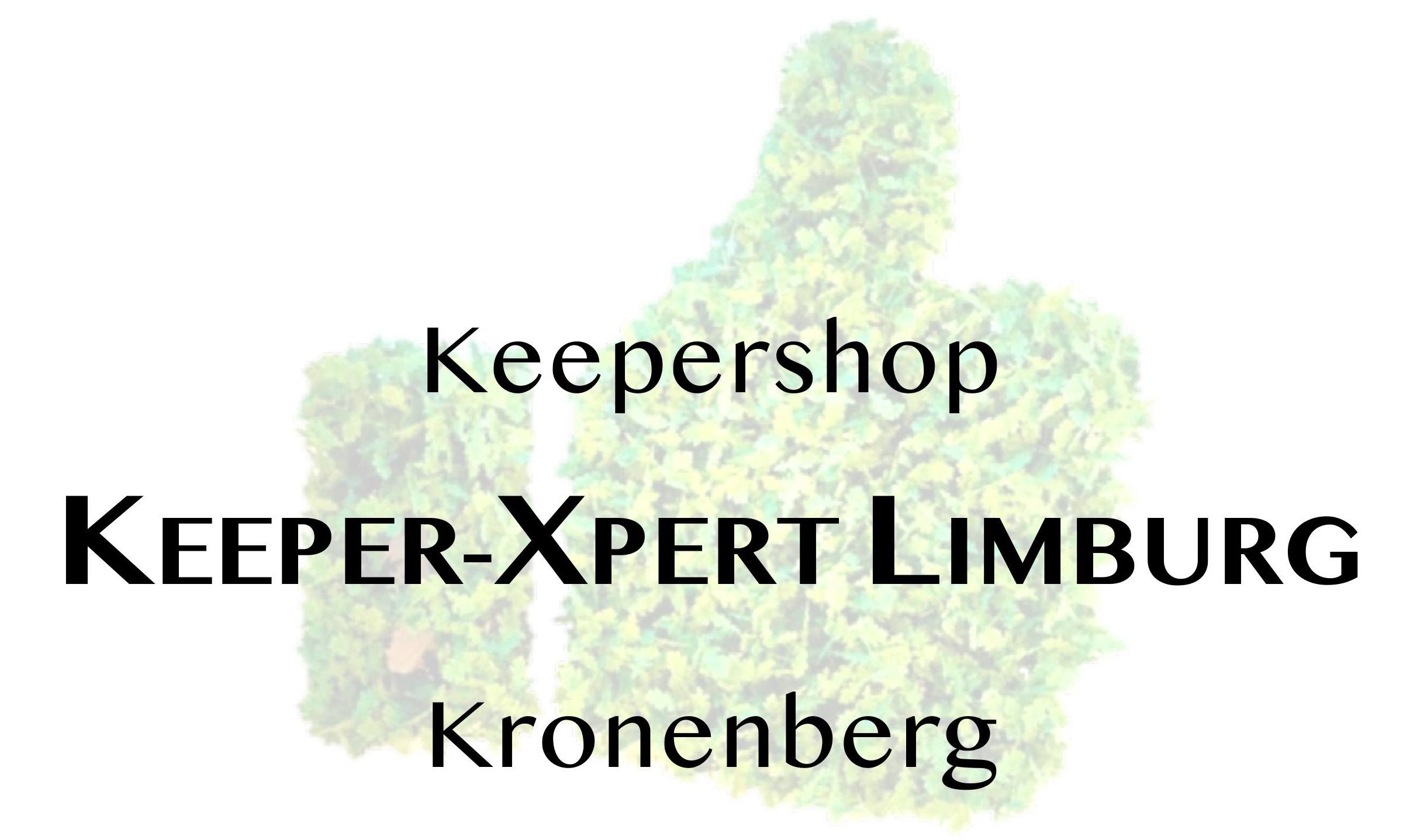 sv Kronenberg Logo2